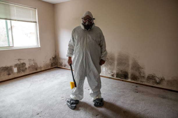 Best Residential Mold Remediation in French Mp, CA